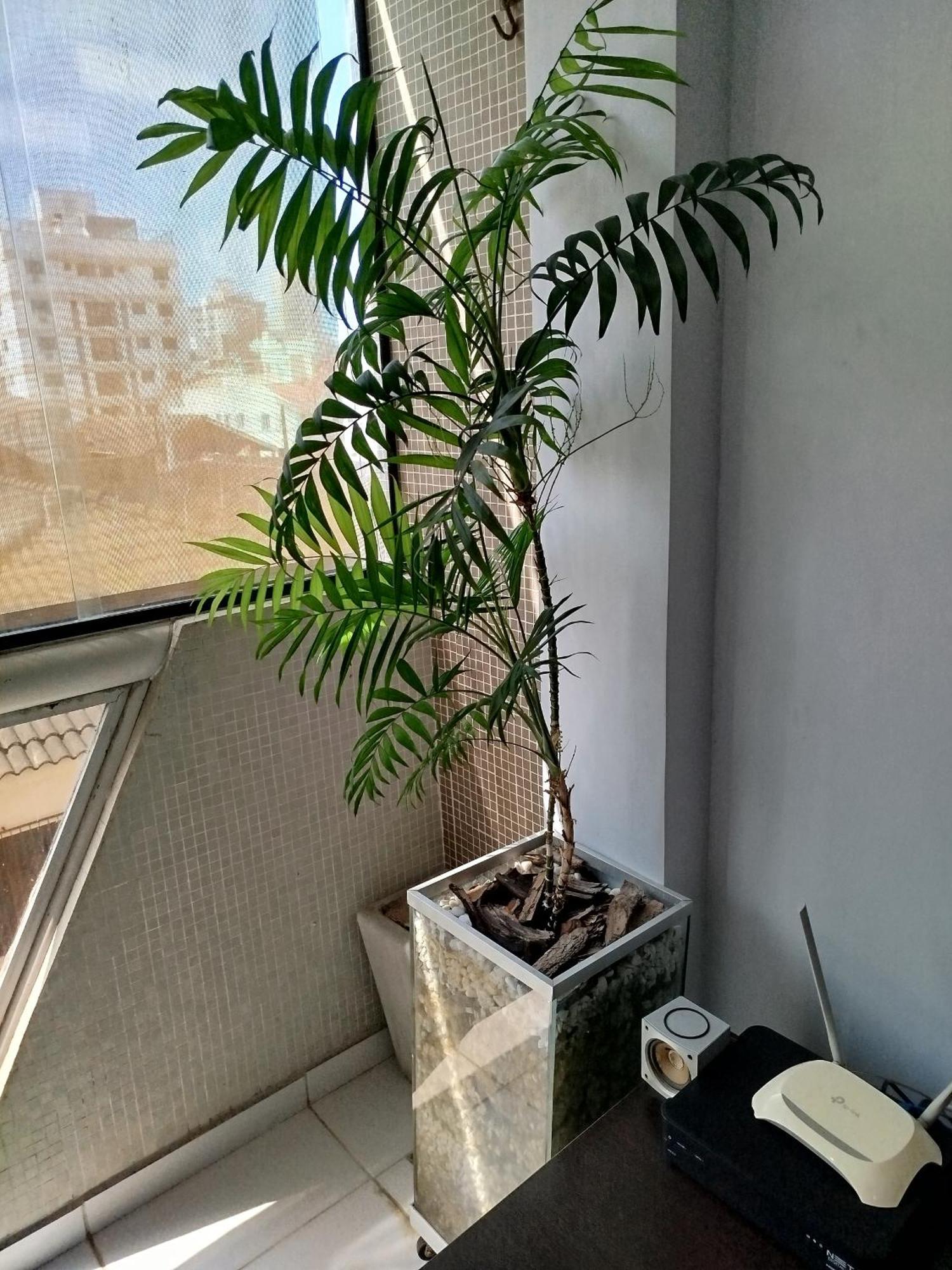 Apartamento Impecavel Na Enseada Гуаружа Екстер'єр фото